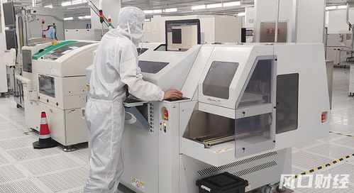 青股速遞 青島兩家 爾系 企業(yè)共闖ipo,細(xì)分賽道龍頭越來越受資金認(rèn)可